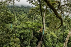 Phuket: Luge, Zipline, Skywalk & Adventure Combo Experience