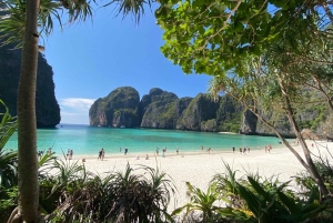 푸켓 마야 베이와 카이 섬으로 떠나는 럭셔리 카타마란 크루즈