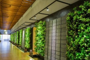 푸켓 마하 치바 타이 마사지: E-바우처