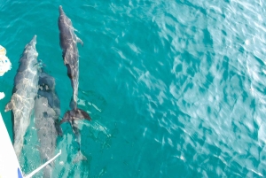 Пхукет: поездка с маской и трубкой на Майтон, Коралл и остров Рача