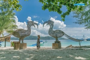 Phuket: snorkeltrip Maiton, Coral en Racha Island