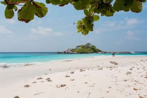 Phuket: Snorkeltur til Maiton, Coral og Racha Island