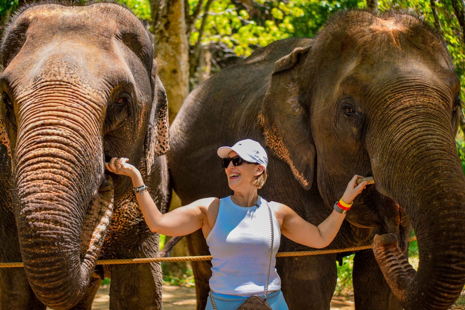 푸껫: 코끼리에게 먹이를 주고 만나는 체험