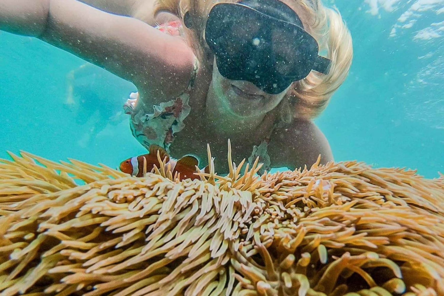 Phuket: Maya Bay, Phi Phi og Bamboo Island heldagsudflugt