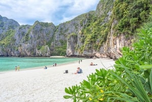 Phuket: Maya Beach, Bamboo Island og Phi Phi-øyene