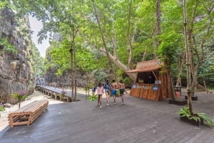 Phuket: Maya Beach, Bamboo Island og Phi Phi Islands Tour