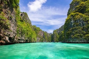 Phuket: Phi Phi saarten kiertomatka: Maya Beach, Bamboo Island, & Phi Phi Islands Tour