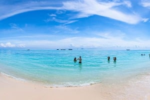 Phuket: Maya Beach, Bamboo Island og Phi Phi Islands Tour