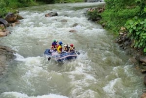Phuket : grotte aux singes, rafting, cascade et tyrolienne