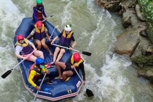Phuket : grotte aux singes, rafting, cascade et tyrolienne