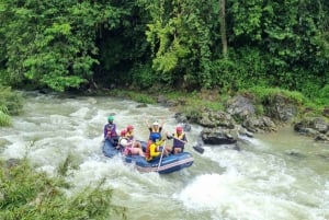 Phuket : grotte aux singes, rafting, cascade et tyrolienne
