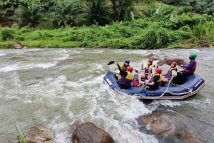 Phuket: cueva de los monos, rafting, cascada y tirolina