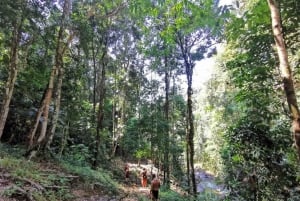 Phuket: cueva de los monos, rafting, cascada y tirolina