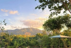 푸켓: 셰프 에른과 함께하는 타이 요리 교실