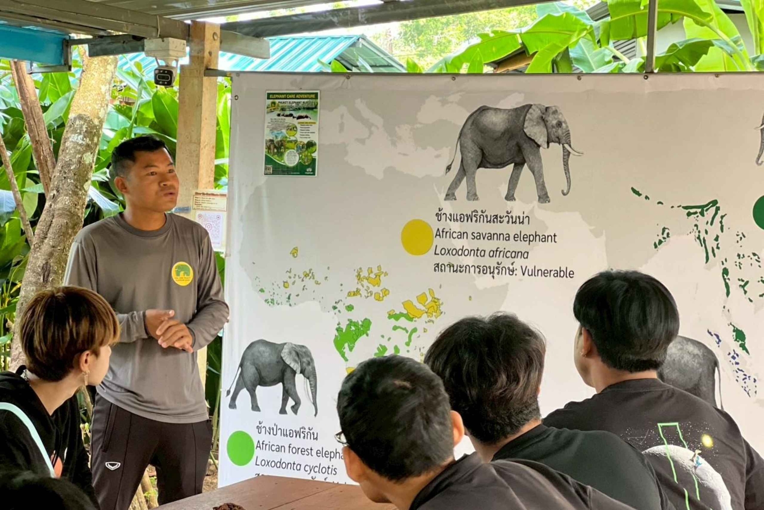 Phuket: caminhada na natureza e passeio de elefante com bem-estar ético e ervas