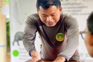 Phuket: caminhada na natureza e passeio de elefante com bem-estar ético e ervas