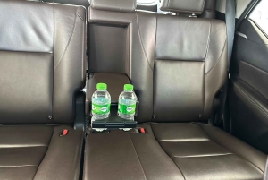 プーケット：旧市街、チャロン寺院、大仏を巡るヴァンツアー