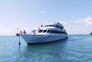 Phuket: Enkeltransfer med färja från Phuket till RaiLay