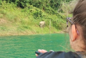 Phuket eller hvor som helst: 2-dages tur til Cheow Lan-søen og tømmerflåderesort