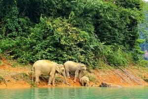 Phuket eller hvor som helst: 2-dagers Cheow Lan Lake & Raft-Resort-AIR