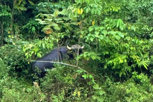 Phuket eller hvor som helst: 2-dagers Cheow Lan Lake & Raft-Resort-AIR