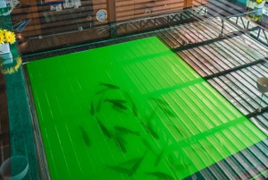 Phuket eller hvor som helst: 2-dagers Cheow Lan Lake & Raft-Resort-AIR