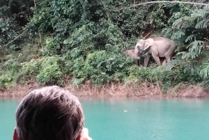 Phuket eller hvor som helst: 2-dagers Cheow Lan Lake & Raft-Resort-AIR