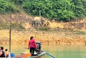 Phuket eller hvor som helst: 2-dagers Cheow Lan Lake & Raft-Resort-AIR