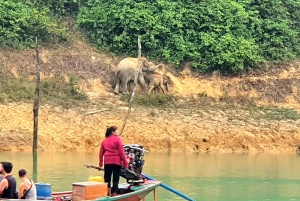 Phuket eller hvor som helst: 2-dagers Cheow Lan Lake & Raft-Resort-AIR