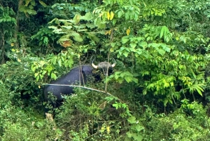 Da Phuket o da qualsiasi altro posto: 2 giorni al lago di Cheow Lan e raft-resort-aria