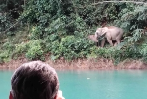 Da Phuket o da qualsiasi altro posto: 2 giorni al lago di Cheow Lan e raft-resort-aria