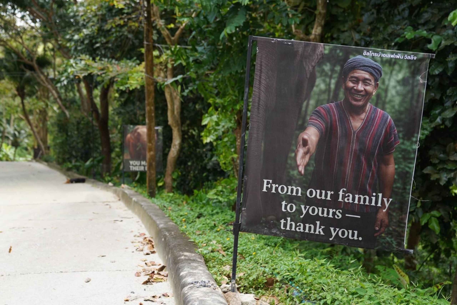 Phuket: Patong Elephant Sanctuary Observe & Learn Experience