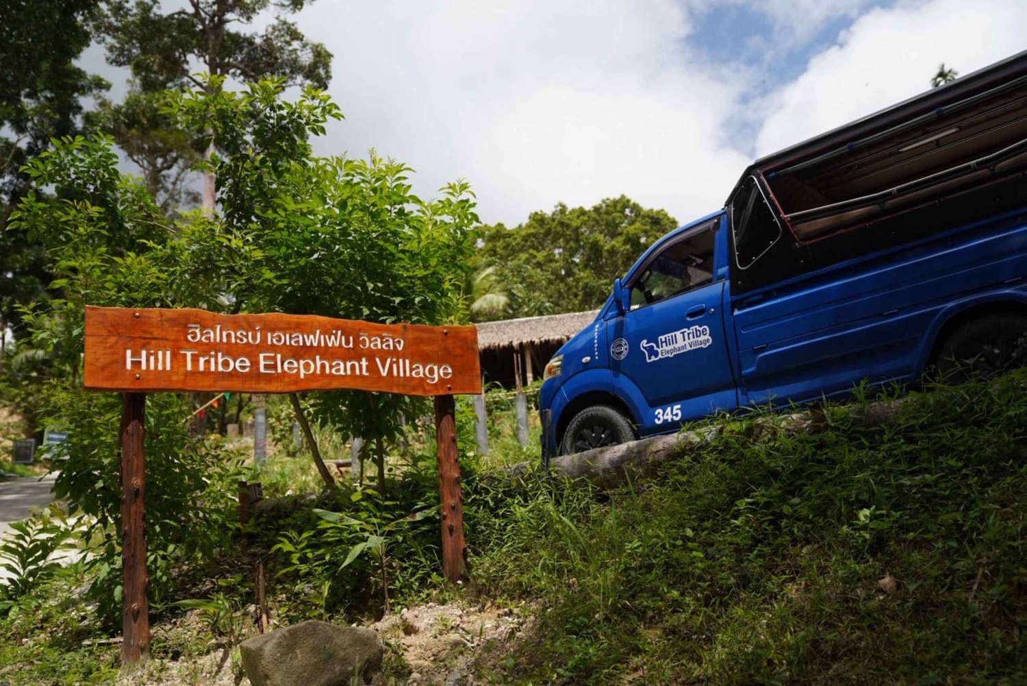 Phuket: Patong Elephant Sanctuary Observe & Learn Experience