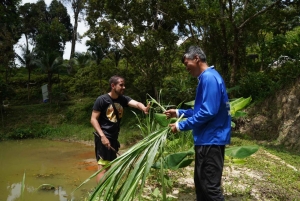 Phuket: Patong Elephant Sanctuary Observe & Learn Experience