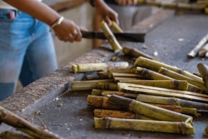 Phuket: Etisk elefantreservatstur i Patong med transfer