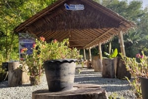 Phuket: Etisk elefantreservatstur i Patong med transfer