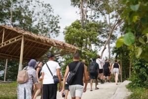 Phuket: Patong Highlights Elephant Sanctuary Tour