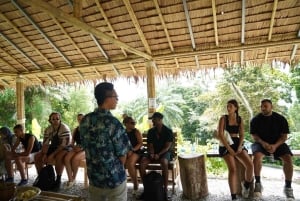 Phuket: Patong Highlights Elephant Sanctuary Tour