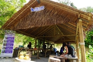 Phuket: Patong Highlights Elephant Sanctuary Tour