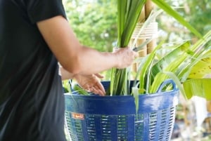 Phuket: Patong Highlights Elephant Sanctuary Tour