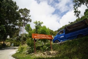 Phuket: Patong Highlights Elephant Sanctuary Tour