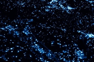 Phuket: Zatoka Phang Nga: bioluminescencyjny plankton i kajaki morskie