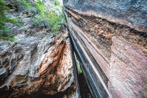 Пхукет: однодневная поездка на каноэ по заливу Пхангнга с биолюминесцентным планктоном