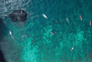 Phuket: Phi Phi ja Khai Island Speedboat tai katamaraanikierros.