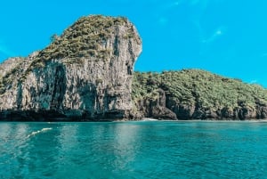 Phuket: Phi Phi & Bamboo Island Day Trip with Buffet Lunch