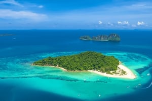 Phuket: Wycieczka 1-dniowa Phi Phi & Bamboo Island z lunchem w formie bufetu