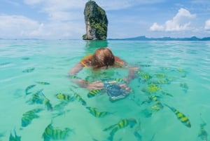 Phuket: Wycieczka 1-dniowa Phi Phi & Bamboo Island z lunchem w formie bufetu