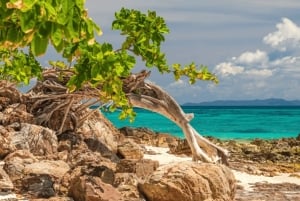 Phuket: Wycieczka 1-dniowa Phi Phi & Bamboo Island z lunchem w formie bufetu