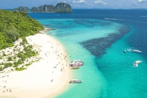 Phuket: Wycieczka 1-dniowa Phi Phi & Bamboo Island z lunchem w formie bufetu