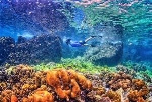 Phuket: Phi Phi & Bamboo Islands Schnorcheln mit dem Schnellboot